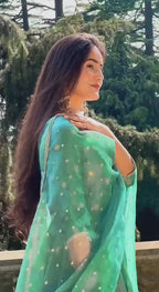 Gulbahaar Green Anarkali Suit Set