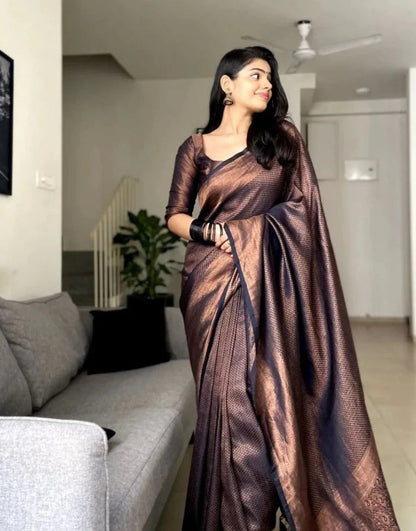 BROWN BLACK color soft silk banarasi saree with matching blouse.