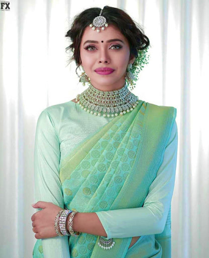 Pastel Green Blue Colour Saree Sari With Stitched Blouse Indian Designer Saree Ready to Wear Indian Wedding Wear Traditional Bridal Saree